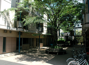 Multicultural Exchange Facilities (Campus Plaza Building A and B)