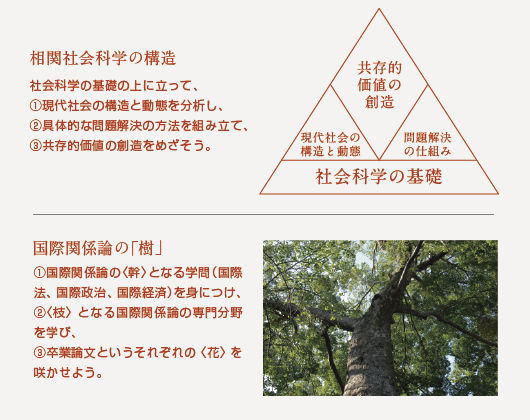 相関社会科学の構造／国際関係論の「樹」