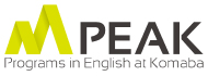 PEAK LOGO