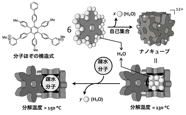 複素力学系