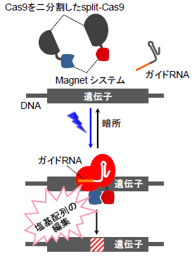 603-04-1-fig02.png