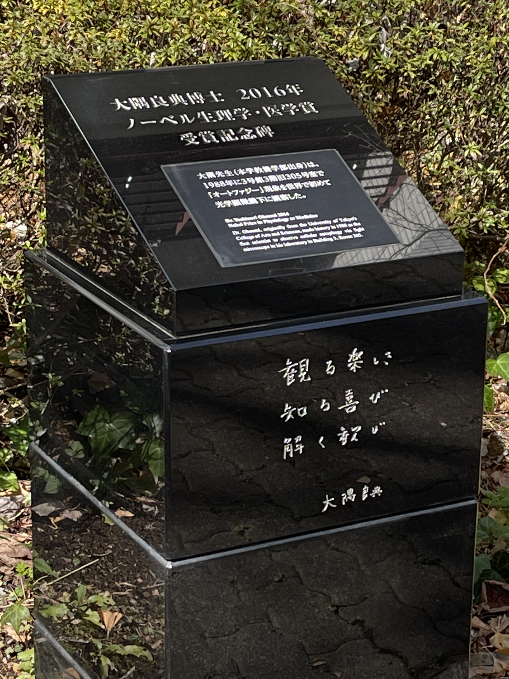 image663-03-1.png