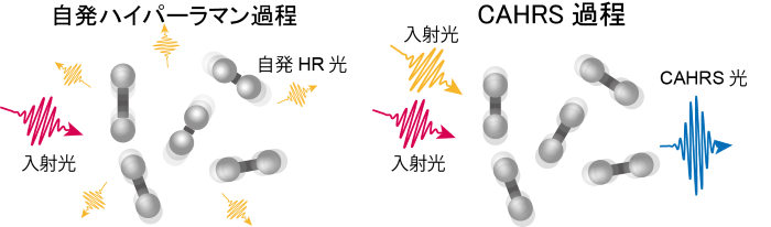 image664-01-2.png