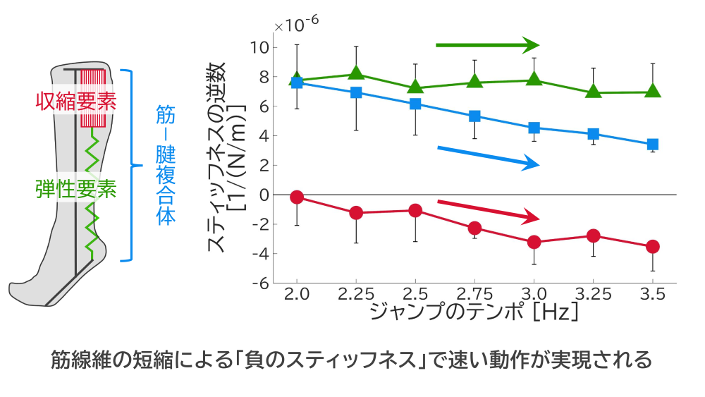 image665-02-3.png