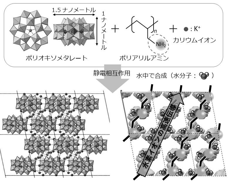 水素社会の実現を目指した電解質材料の創成   教養学部報   教養学部報