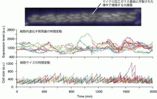 20160308topics_fig01.jpg