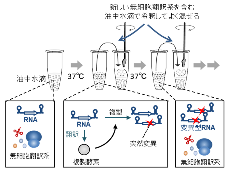 20221202-pr-sobun-01-01.png