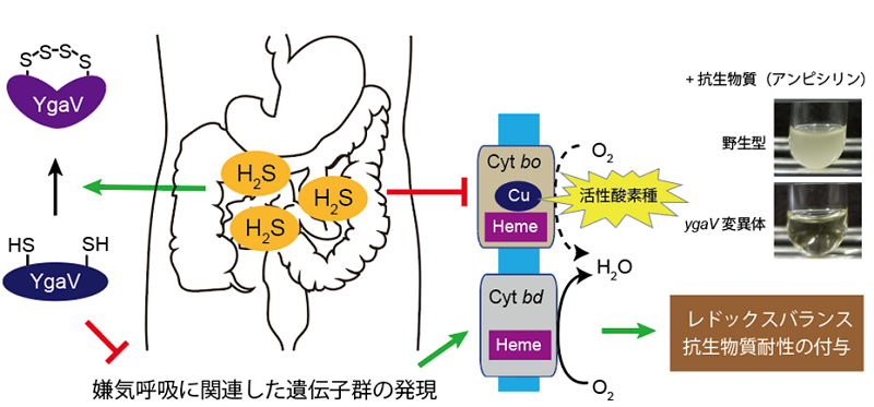 20221213-pr-sobun-01-01.png