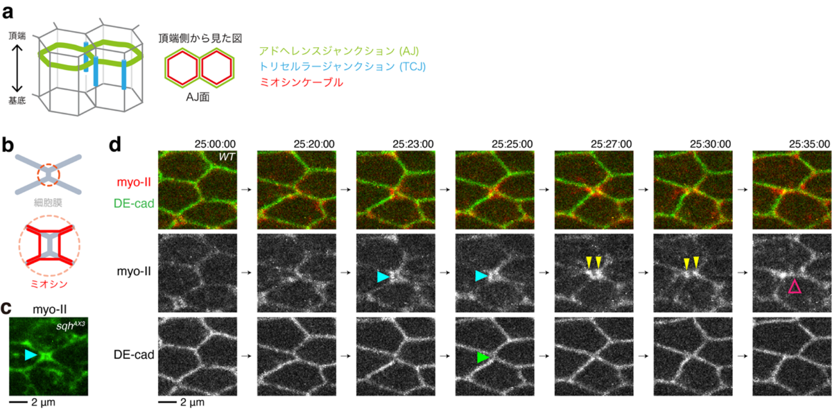 20221221-pr-sobun-01-02.png