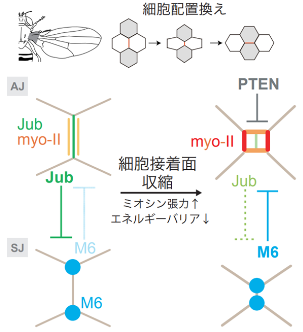 20221221-pr-sobun-01-04.png