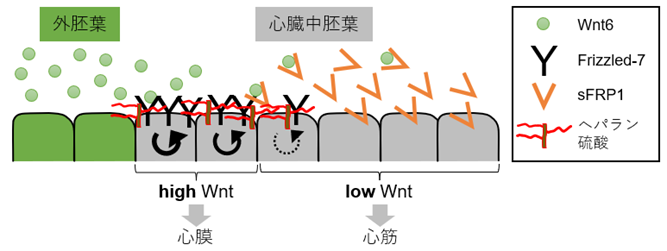 20220802-pr-sobun-01-01.png