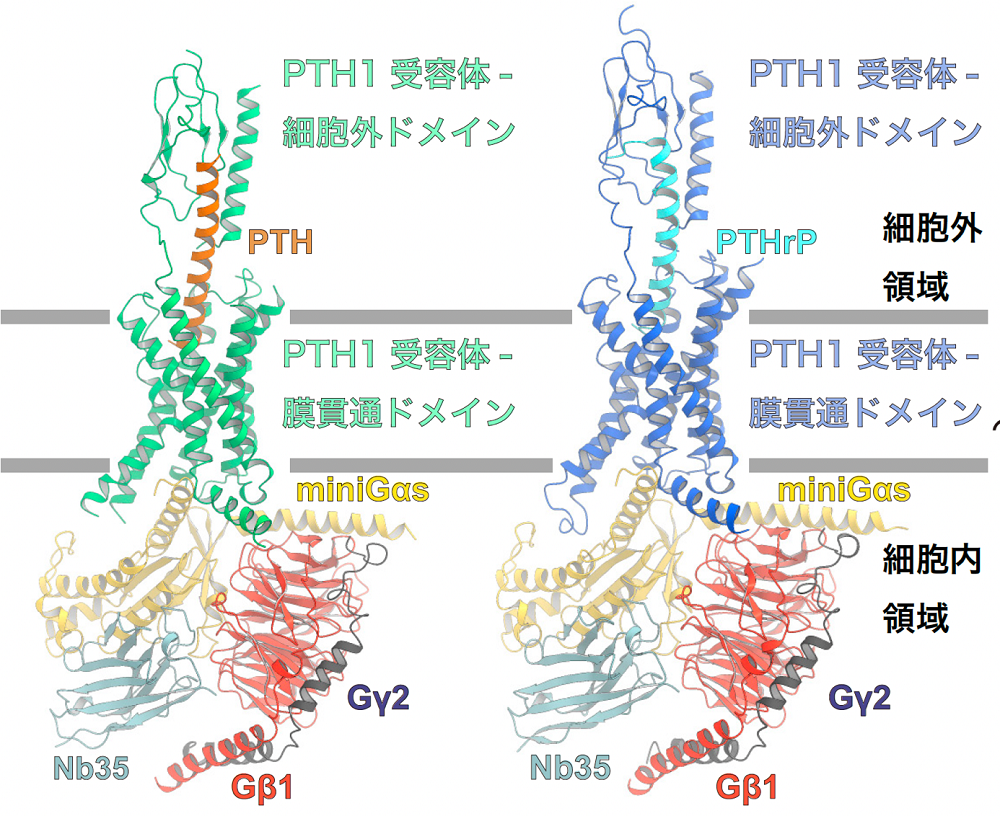 20220809-pr-sobun-01-01.png