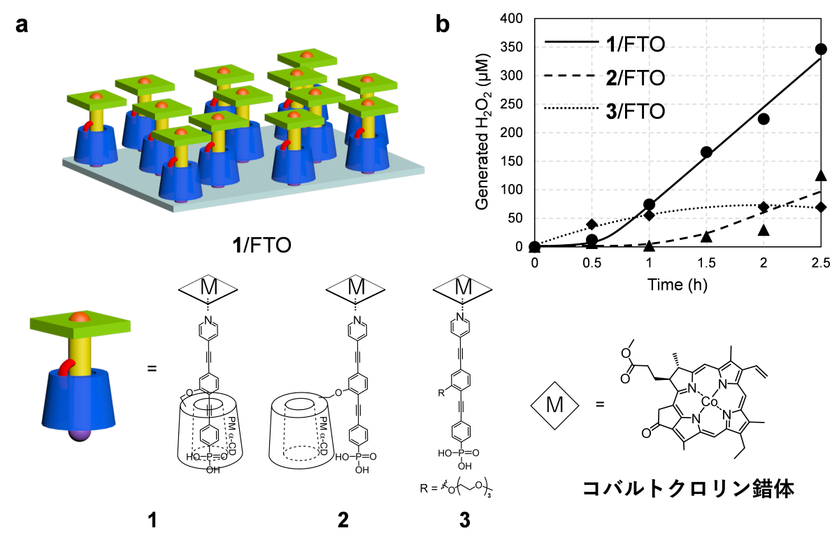 Π-アリルパラジウム錯体