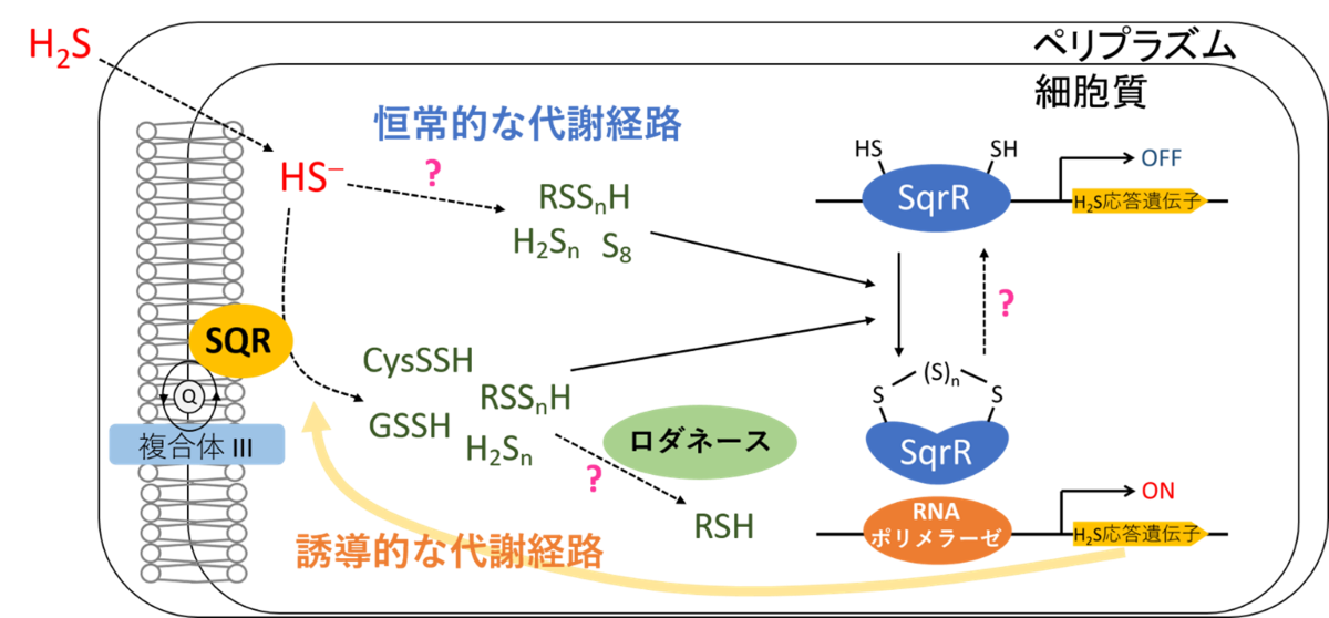 20230214-pr-sobun-01-02.png