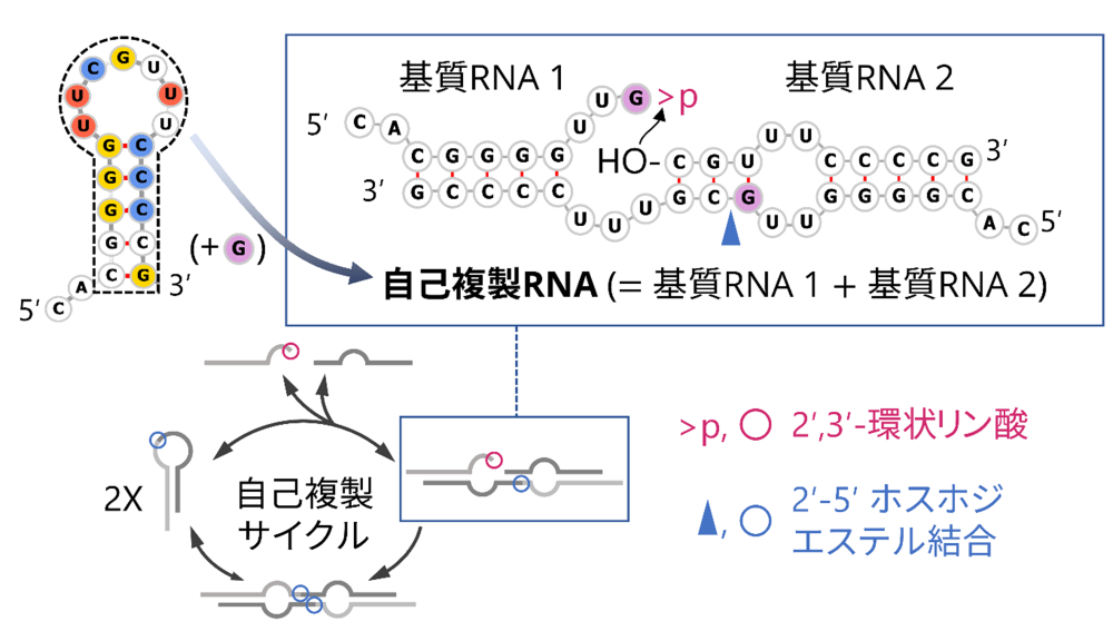 20230705-topics-sobun-01-03.png