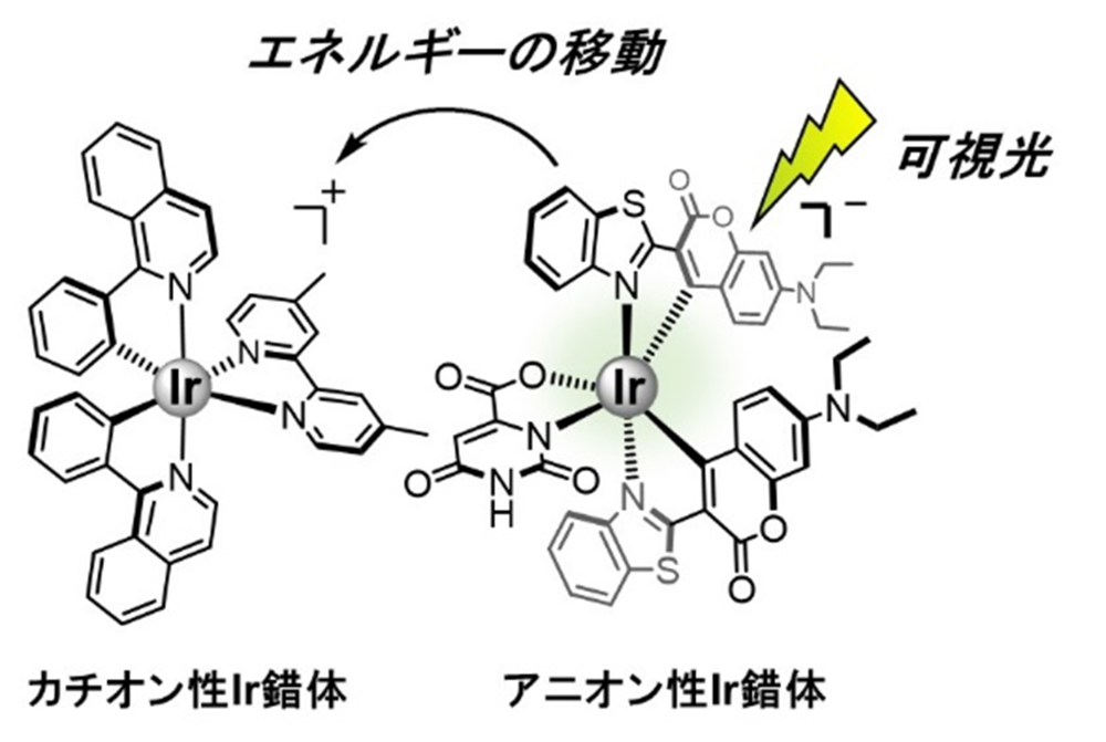 20230707-pr-sobun-01-01.png