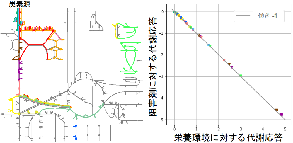 20230714-pr-sobun-01-03.png