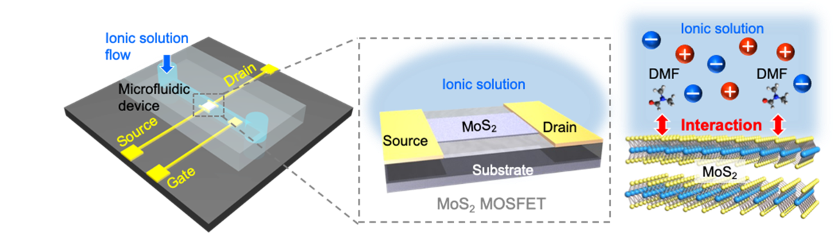 20230721-pr-sobun-01-01.png