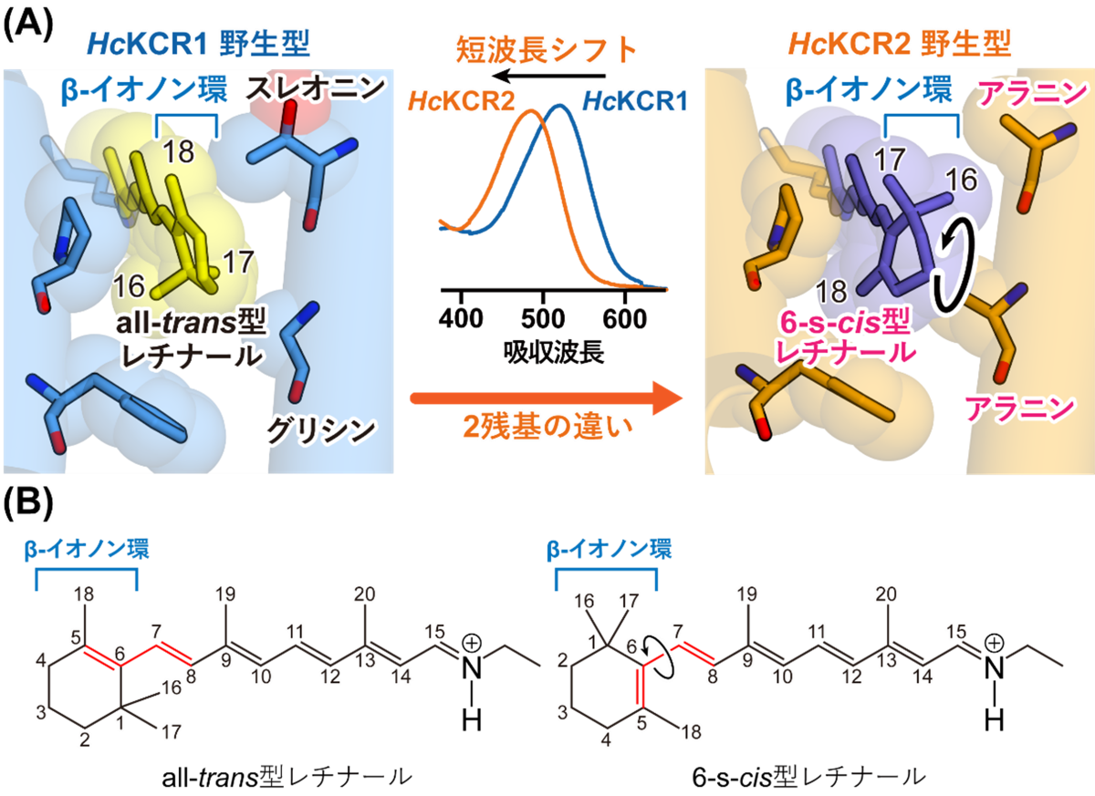 20230901-pr-sobun-01-02.png