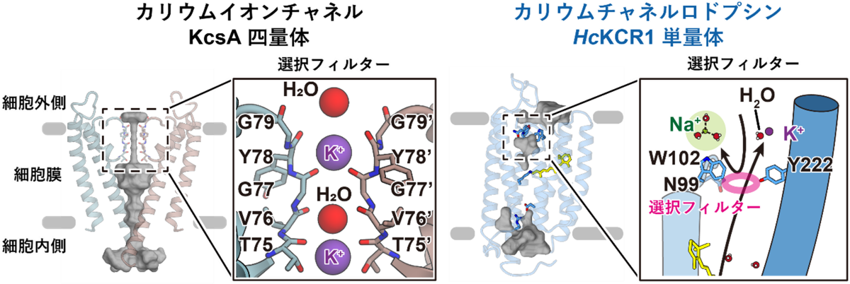 20230901-pr-sobun-01-03.png