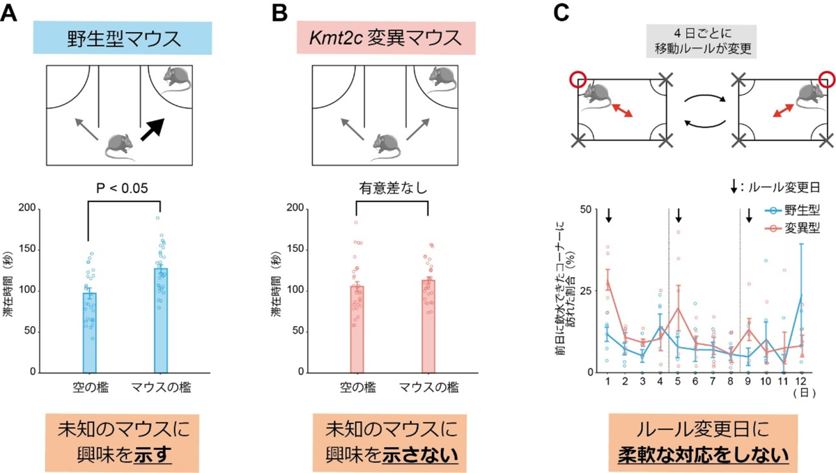 20240326-pr-sobun-01-01.png