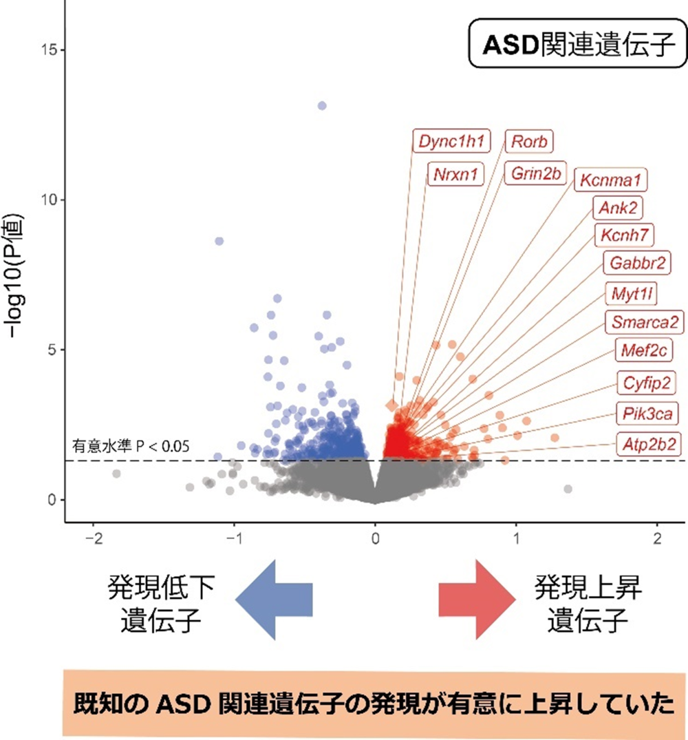 20240326-pr-sobun-01-02.png