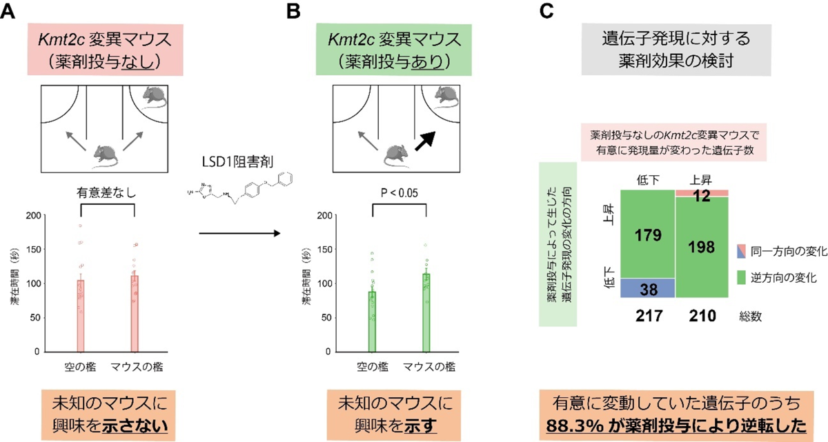 20240326-pr-sobun-01-04.png