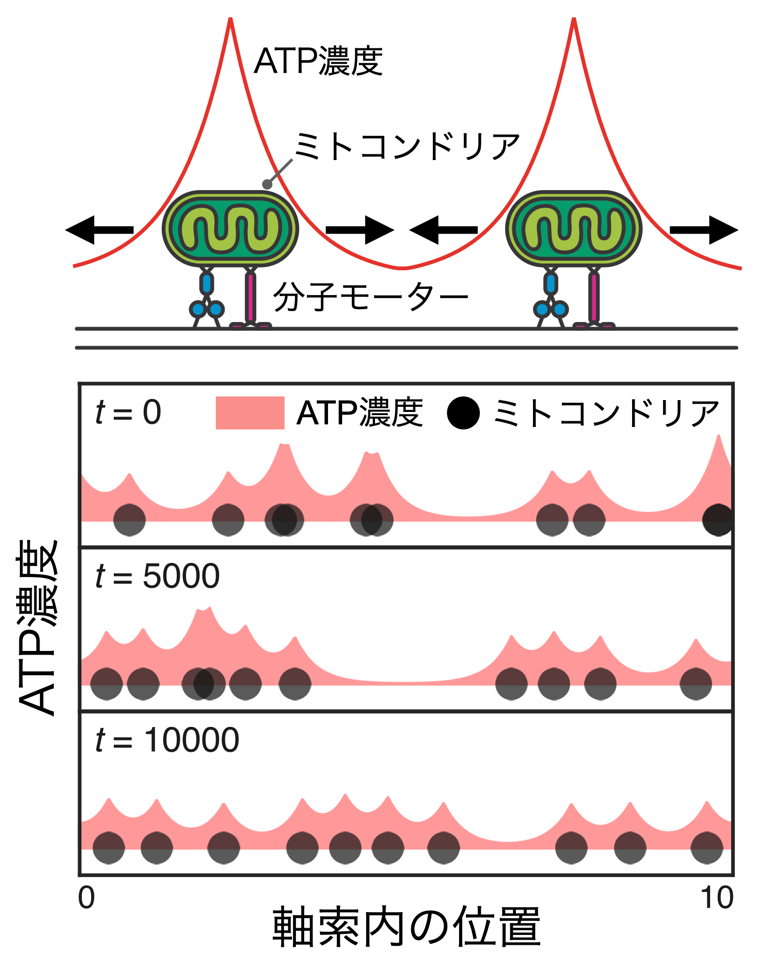 img-20240508-pr-sobun-02.png