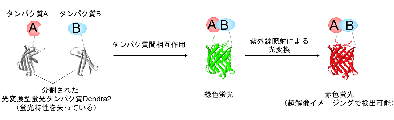 img-20240607-pr-sobun-01.png