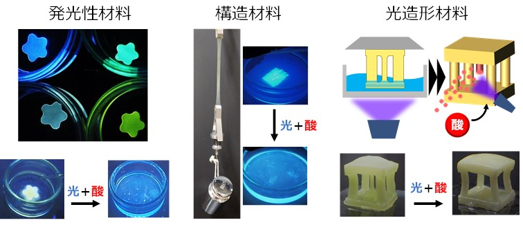 img-20241205-pr-sobun-02.png