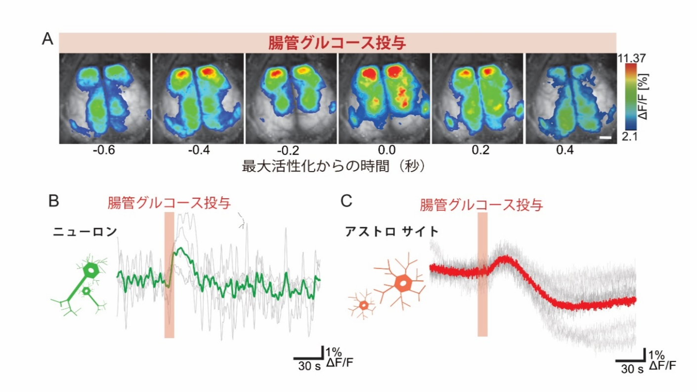 img-20250507-pr-sobun-01.png