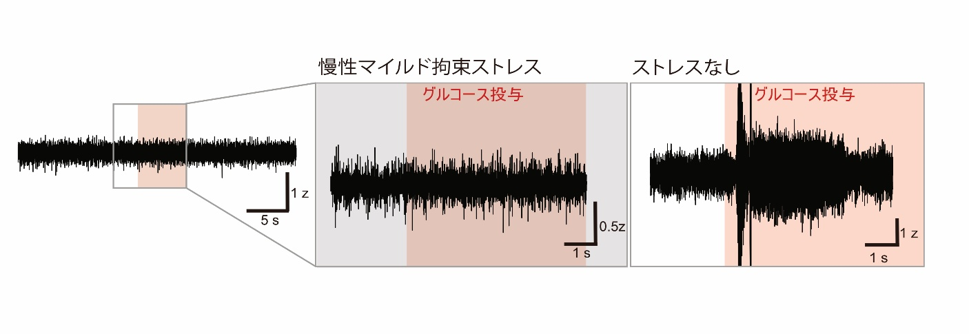 img-20250507-pr-sobun-03.png"