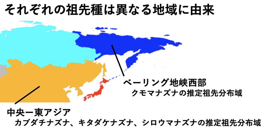 img-2025051502-pr-sobun-01.png