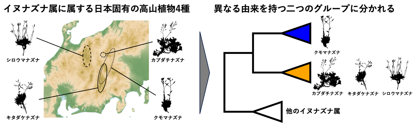 img-2025051502-pr-sobun-top.png