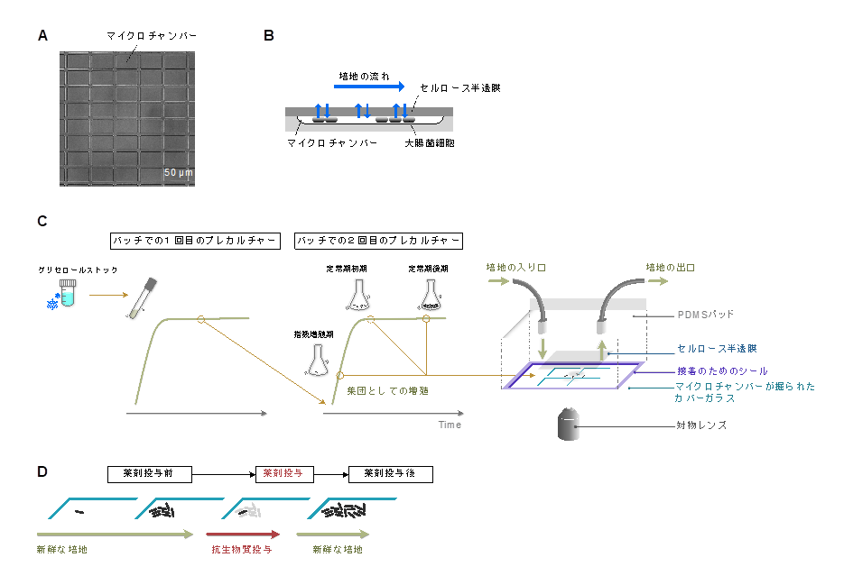 img-20250516-pr-sobun-01.png