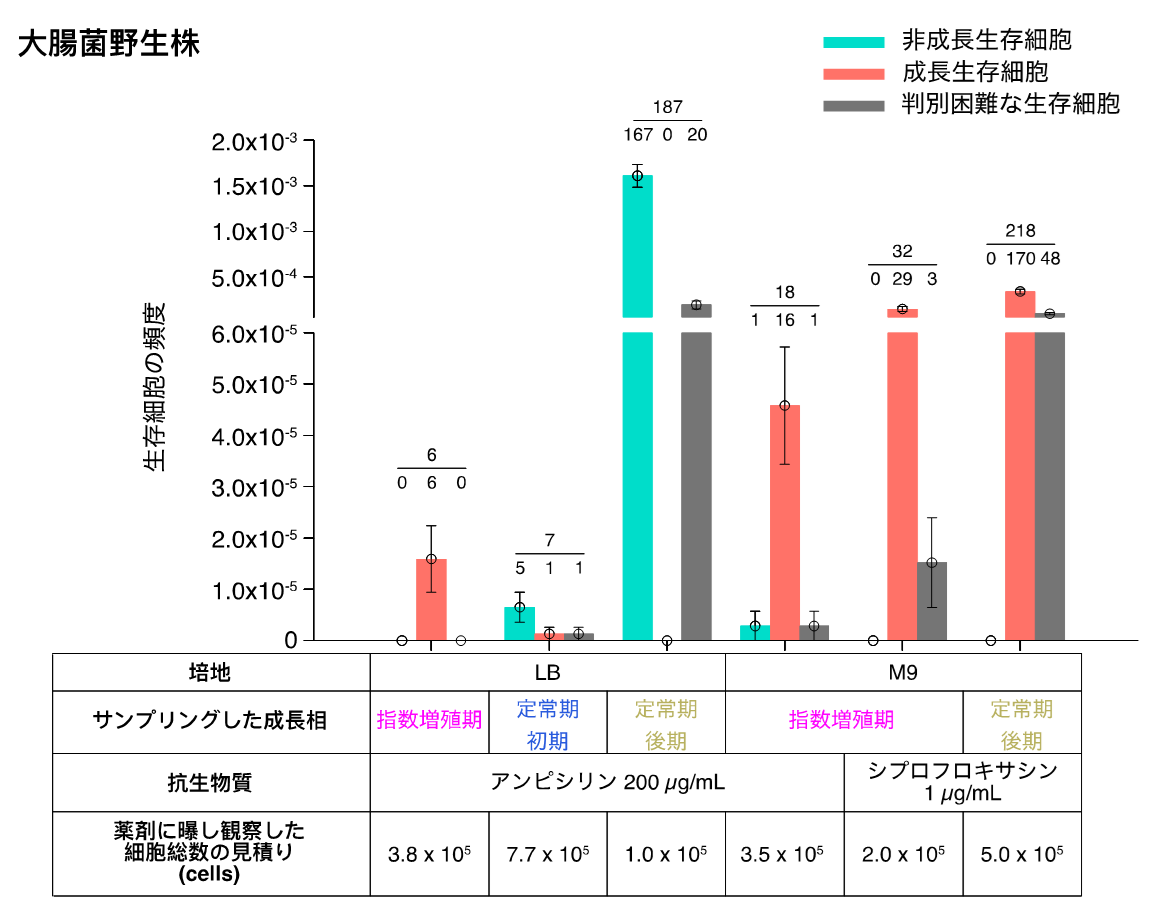 img-20250516-pr-sobun-02.png