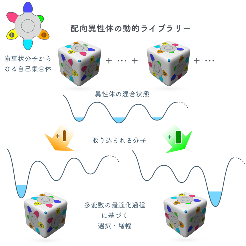 img-20250522-pr-sobun-top.png