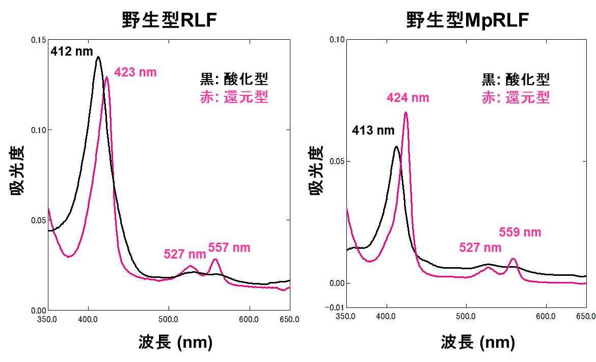 img-20250516-pr-sobun-02.png