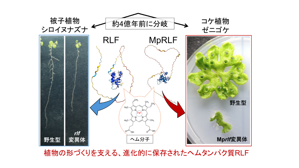 img-20250526-pr-sobun-top.png