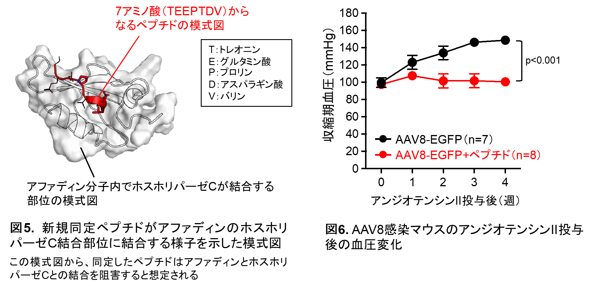 img-20250625-pr-sobun-05-06.png