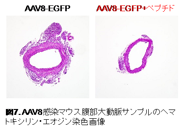 img-20250625-pr-sobun-07.png