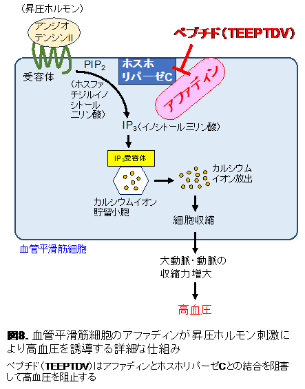 img-20250625-pr-sobun-08.png