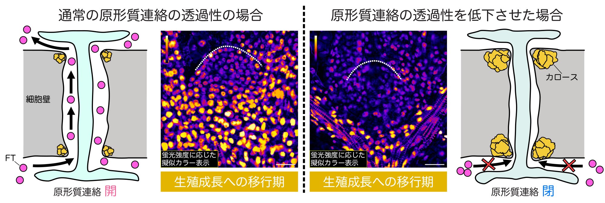 img-20250708-pr-sobun-02.jpg